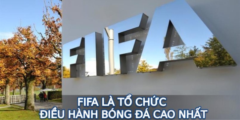 FIFA là tổ chức điều hành bóng đá cao nhất
