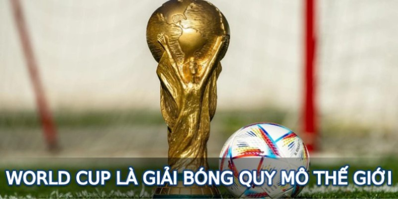 World Cup là giải bóng quy mô thế giới